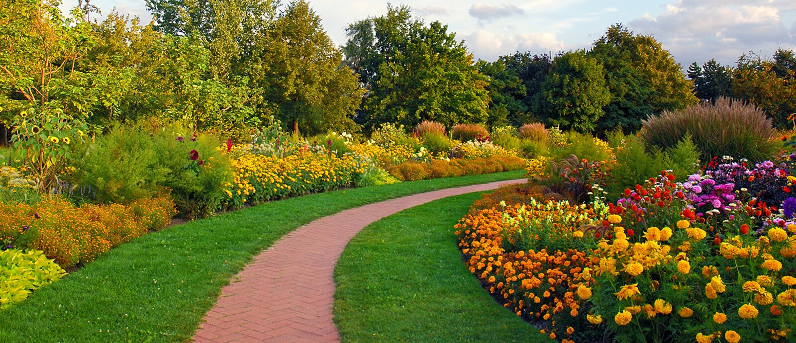 Autumn Inspiration