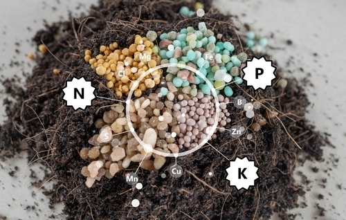 Npk Fertiliser Ratios Explained Thompsons Plants And Garden Centres