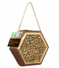 Bee Honeycomb