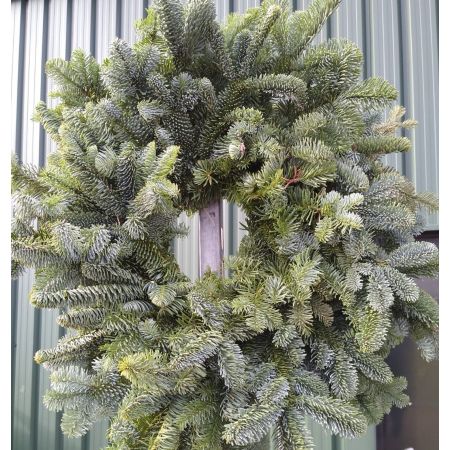 Christmas Wreath Foliage 8 inch