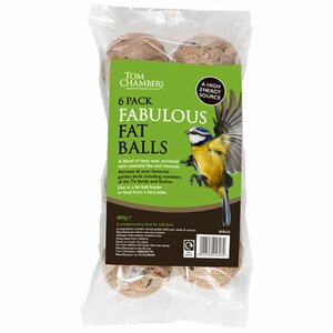 Fat Balls 6 Pack