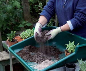 Horticultural Sand - image 2