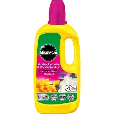 Miracle Gro Azalea, Camellia & Rhododendron Concentrated Liquid plant Food