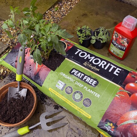 Miracle Gro Fruit & Veg Compost Peat Free 40L - image 2