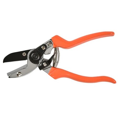 RHS Anvil Secateur