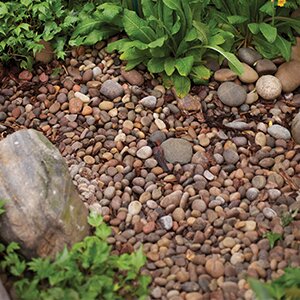 Scottish Pebbles - image 1