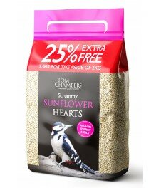 Scrummy Sunflower Hearts 2kg + 25% extra