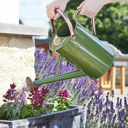 Watering Can 4.5L Sage Green 