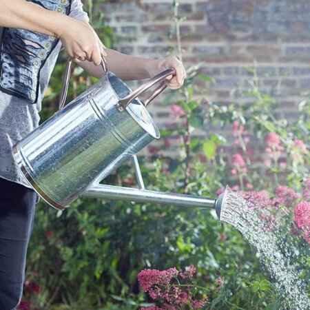 Watering Can 9L Steel